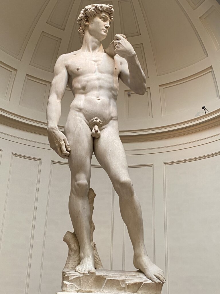 David by Michelangelo is the prototype of the Renaissance art. Cut in a gigantic marble piece, Michelangelo portrays the proportions and pose of human body with masterly ease.